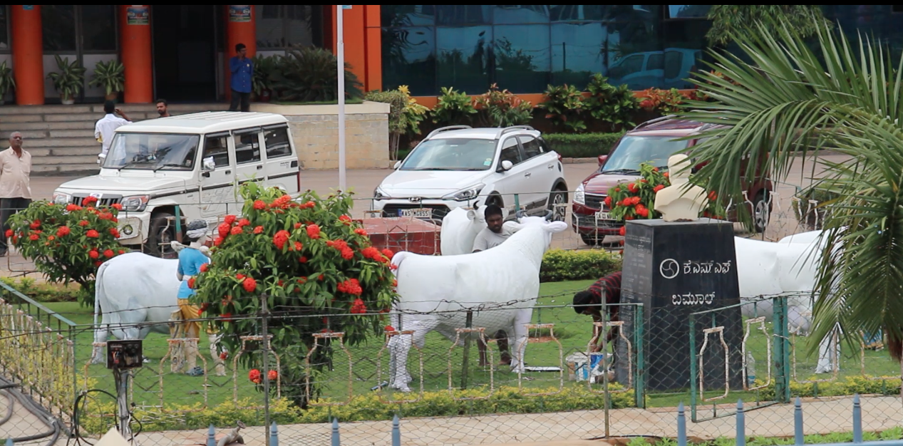 Cow sculpture before Nandini Dairy udergoing facelift in 2016. Curtesy Artist